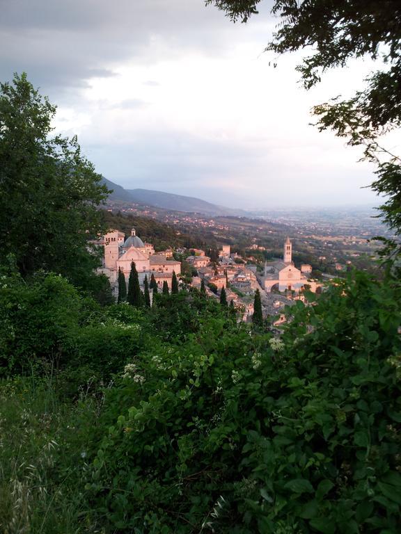 La Corte Degli Angeli Locazioni Turistiche Ассизи Экстерьер фото